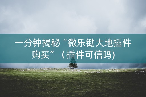 一分钟揭秘“微乐锄大地插件购买”（插件可信吗)