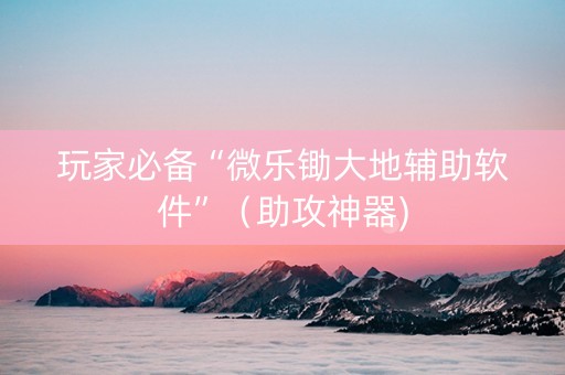 玩家必备“微乐锄大地辅助软件”（助攻神器)