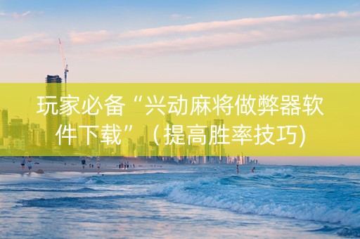 玩家必备“兴动麻将做弊器软件下载”（提高胜率技巧)