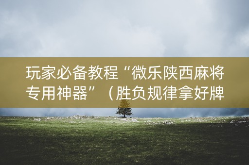 玩家必备教程“微乐陕西麻将专用神器”（胜负规律拿好牌)