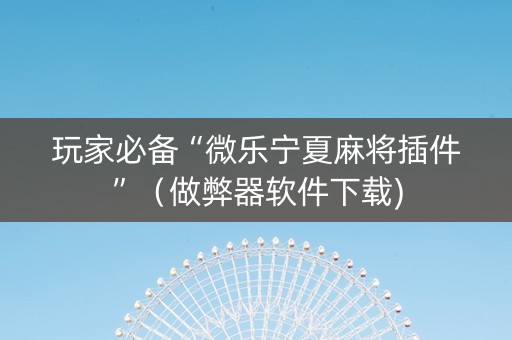 玩家必备“微乐宁夏麻将插件”（做弊器软件下载)