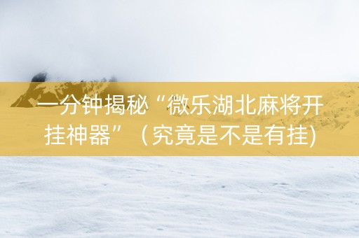 一分钟揭秘“微乐湖北麻将开挂神器”（究竟是不是有挂)