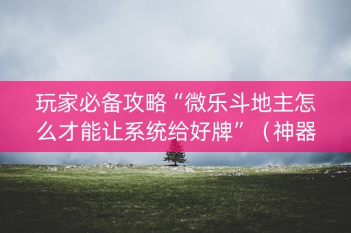 玩家必备攻略“微乐斗地主怎么才能让系统给好牌”（神器通用版)