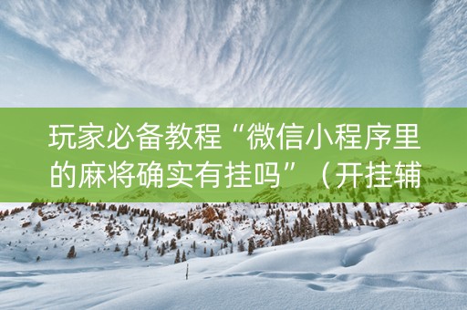玩家必备教程“微信小程序里的麻将确实有挂吗”（开挂辅助插件)