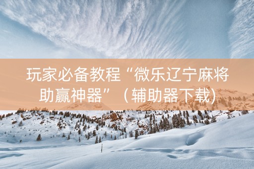 玩家必备教程“微乐辽宁麻将助赢神器”（辅助器下载)
