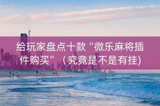 给玩家盘点十款“微乐麻将插件购买”（究竟是不是有挂)