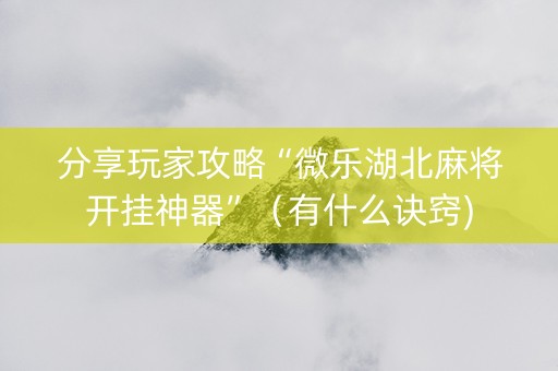 分享玩家攻略“微乐湖北麻将开挂神器”（有什么诀窍)
