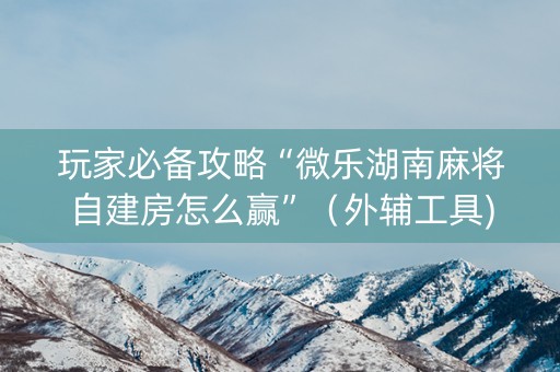 玩家必备攻略“微乐湖南麻将自建房怎么赢”（外辅工具)