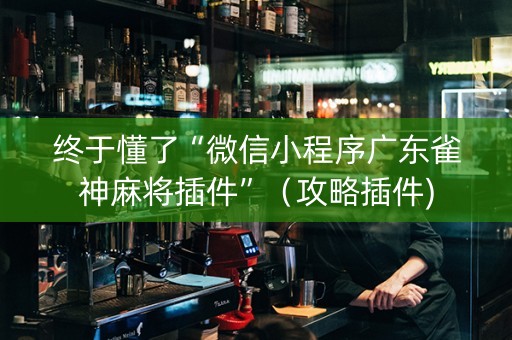 终于懂了“微信小程序广东雀神麻将插件”（攻略插件)
