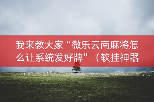 我来教大家“微乐云南麻将怎么让系统发好牌”（软挂神器)