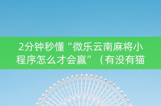 2分钟秒懂“微乐云南麻将小程序怎么才会赢”（有没有猫腻)
