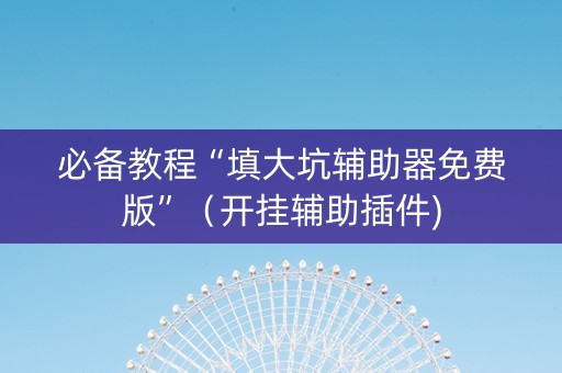 必备教程“填大坑辅助器免费版”（开挂辅助插件)