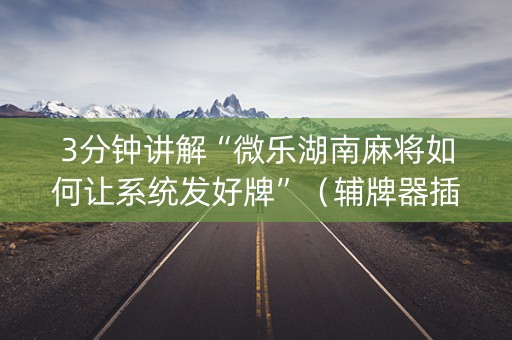 3分钟讲解“微乐湖南麻将如何让系统发好牌”（辅牌器插件购买)