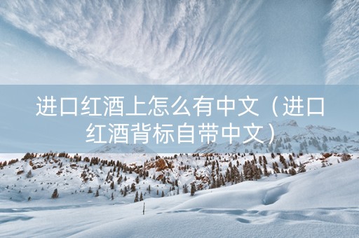 进口红酒上怎么有中文（进口红酒背标自带中文）