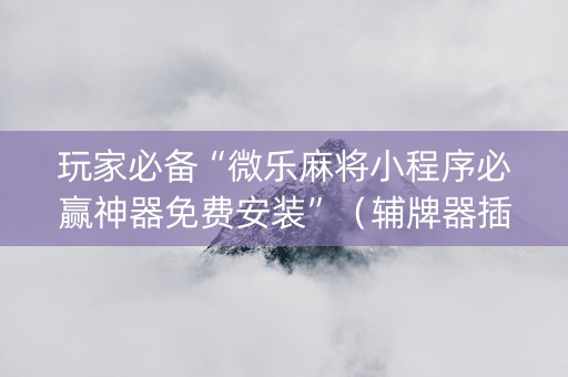 玩家必备“微乐麻将小程序必赢神器免费安装”（辅牌器插件购买)