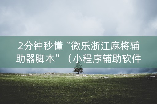 2分钟秒懂“微乐浙江麻将辅助器脚本”（小程序辅助软件)