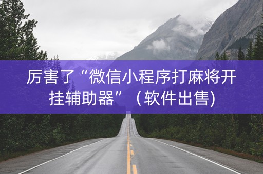 厉害了“微信小程序打麻将开挂辅助器”（软件出售)