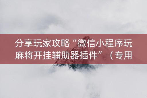 分享玩家攻略“微信小程序玩麻将开挂辅助器插件”（专用神器)