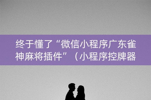 终于懂了“微信小程序广东雀神麻将插件”（小程序控牌器)