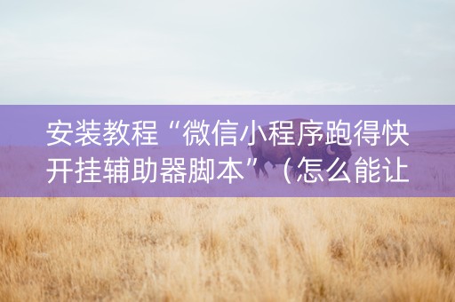 安装教程“微信小程序跑得快开挂辅助器脚本”（怎么能让牌好一点)