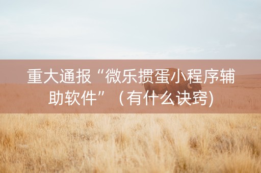 重大通报“微乐掼蛋小程序辅助软件”（有什么诀窍)