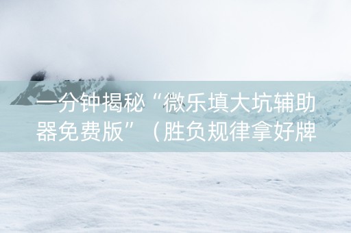 一分钟揭秘“微乐填大坑辅助器免费版”（胜负规律拿好牌)