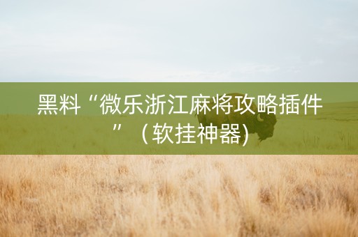 黑料“微乐浙江麻将攻略插件”（软挂神器)