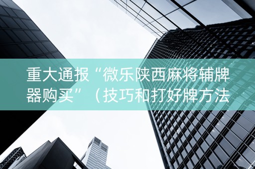 重大通报“微乐陕西麻将辅牌器购买”（技巧和打好牌方法)