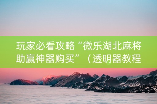 玩家必看攻略“微乐湖北麻将助赢神器购买”（透明器教程)