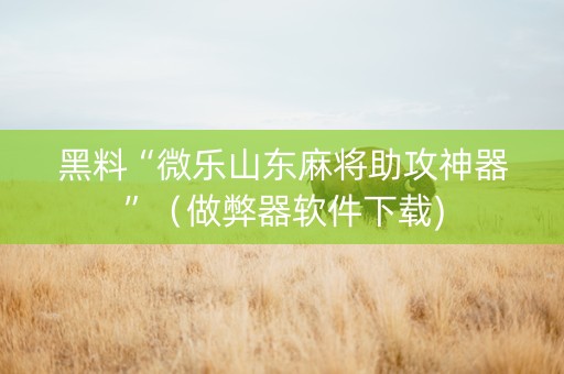 黑料“微乐山东麻将助攻神器”（做弊器软件下载)