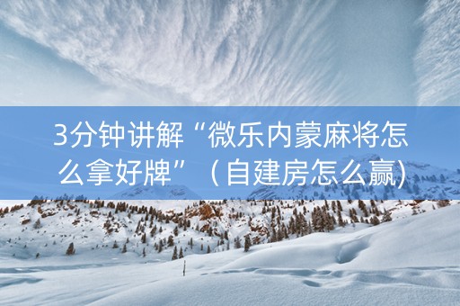 3分钟讲解“微乐内蒙麻将怎么拿好牌”（自建房怎么赢)