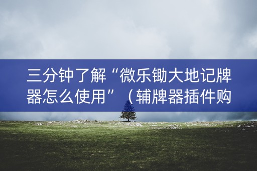 三分钟了解“微乐锄大地记牌器怎么使用”（辅牌器插件购买)
