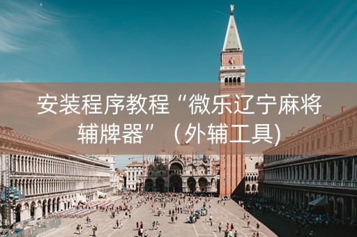 安装程序教程“微乐辽宁麻将辅牌器”（外辅工具)