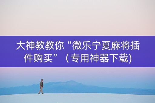 大神教教你“微乐宁夏麻将插件购买”（专用神器下载)