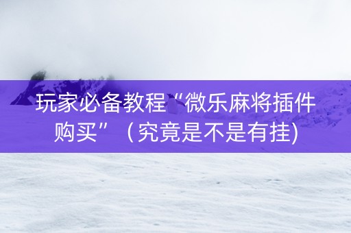 玩家必备教程“微乐麻将插件购买”（究竟是不是有挂)