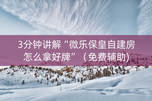 3分钟讲解“微乐保皇自建房怎么拿好牌”（免费辅助)