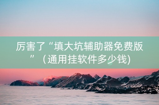 厉害了“填大坑辅助器免费版”（通用挂软件多少钱)