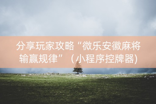 分享玩家攻略“微乐安徽麻将输赢规律”（小程序控牌器)