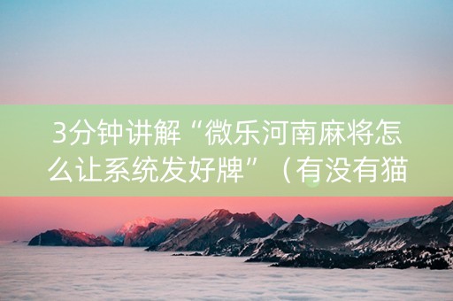 3分钟讲解“微乐河南麻将怎么让系统发好牌”（有没有猫腻)