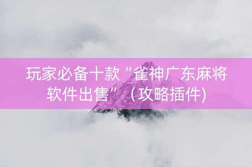 玩家必备十款“雀神广东麻将软件出售”（攻略插件)