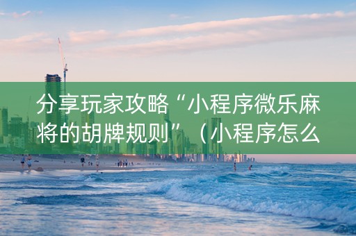 分享玩家攻略“小程序微乐麻将的胡牌规则”（小程序怎么才会赢)