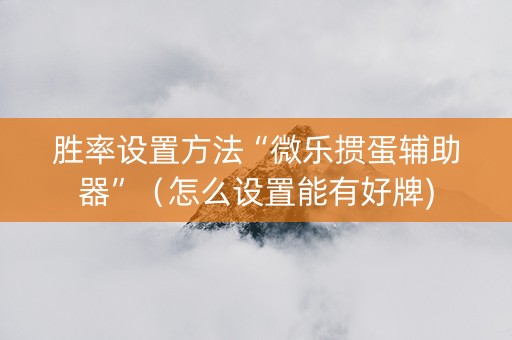 胜率设置方法“微乐掼蛋辅助器”（怎么设置能有好牌)