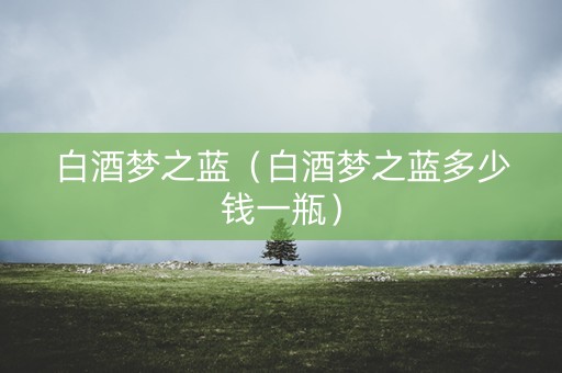 白酒梦之蓝（白酒梦之蓝多少钱一瓶）