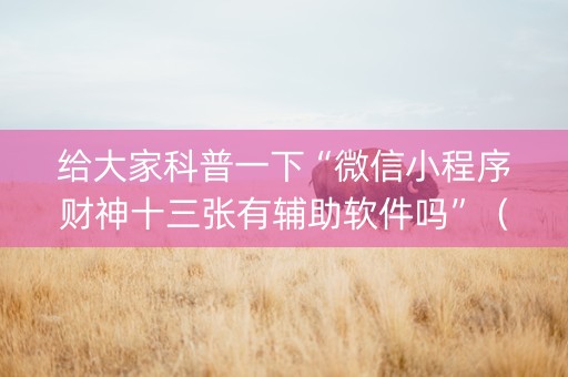 给大家科普一下“微信小程序财神十三张有辅助软件吗”（万能开挂神器)