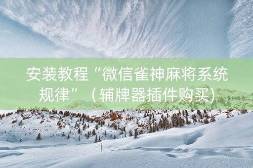 安装教程“微信雀神麻将系统规律”（辅牌器插件购买)
