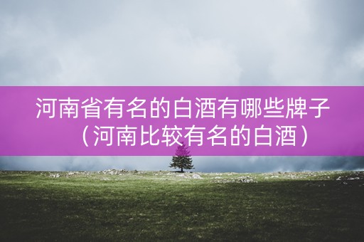 河南省有名的白酒有哪些牌子（河南比较有名的白酒）