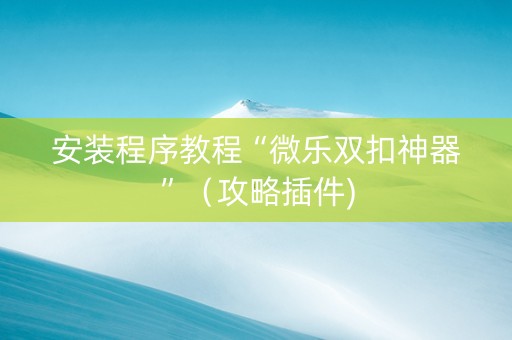 安装程序教程“微乐双扣神器”（攻略插件)