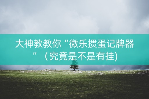 大神教教你“微乐掼蛋记牌器”（究竟是不是有挂)