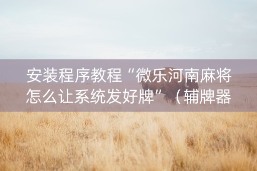 安装程序教程“微乐河南麻将怎么让系统发好牌”（辅牌器插件购买)