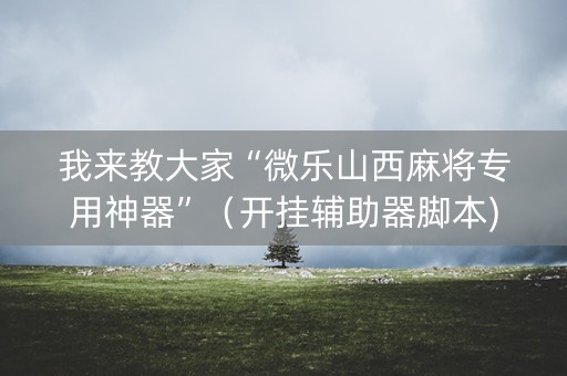 我来教大家“微乐山西麻将专用神器”（开挂辅助器脚本)